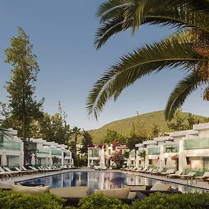 Feriested Voyage, Torba